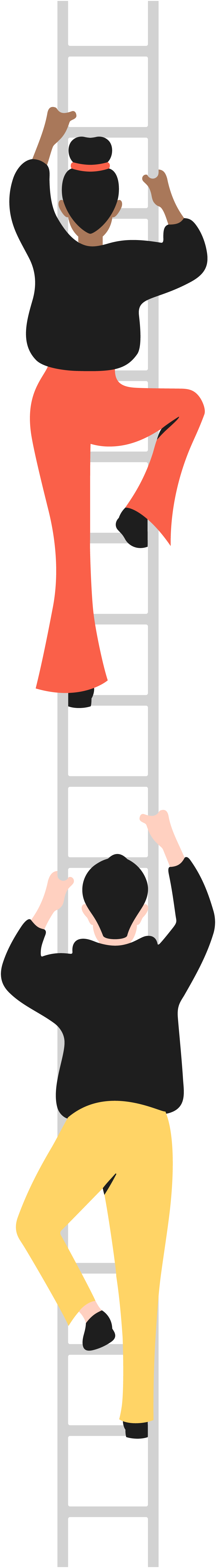 Ladder presentation image